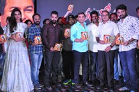 Kalyan Ram Sher Movie Audio Songs Release